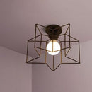 Paelithwen | Semi Flush Mounted Light
