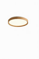Torellia B | Ceiling Mounted Light