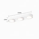 Aelaris | Surface Mounted Light