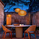 Glavynne | Outdoor Pendant Light
