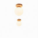 Elowenae I Semi Flush Mounted Light