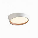 Rienzi | Ceiling Mounted Light