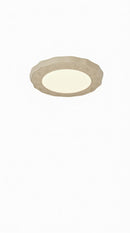 Froemke | Ceiling Mounted Light