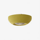 Corvein I Retro Ceiling Mounted Light