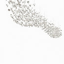 Cenvelyn I Cluster Chandelier