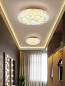 Yelvon | Ceiling Mounted Light
