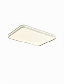 Stanfa Deux | Ceiling Mounted Light