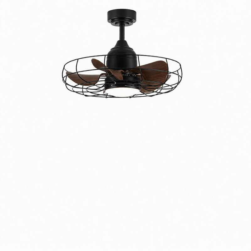 Deyra | Outdoor Lighted Ceiling Fan