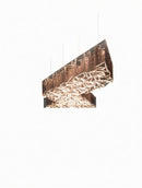 Drevynara I Cluster Chandelier