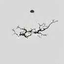 Dravus | Chandelier