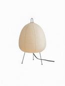 Vorysene I Table Lamp