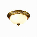 Sioraelis | Ceiling Mounted Light