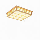 Tarysira | Ceiling Mounted Light