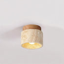 Vensor Une | Semi Flush Mounted Light