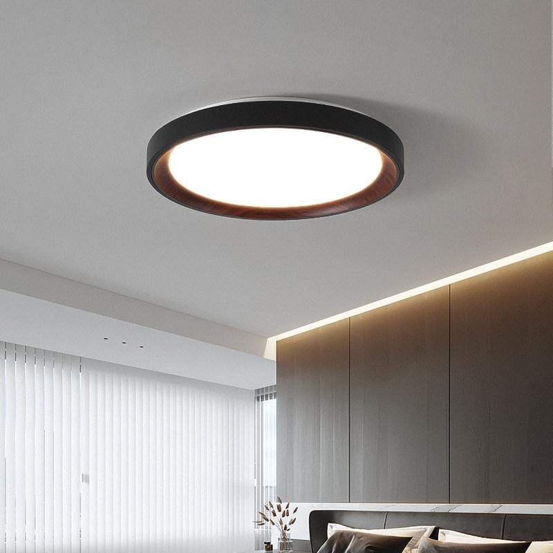 Blunden | Ceiling Mounted Light - Detail View #3 | HomeCartel