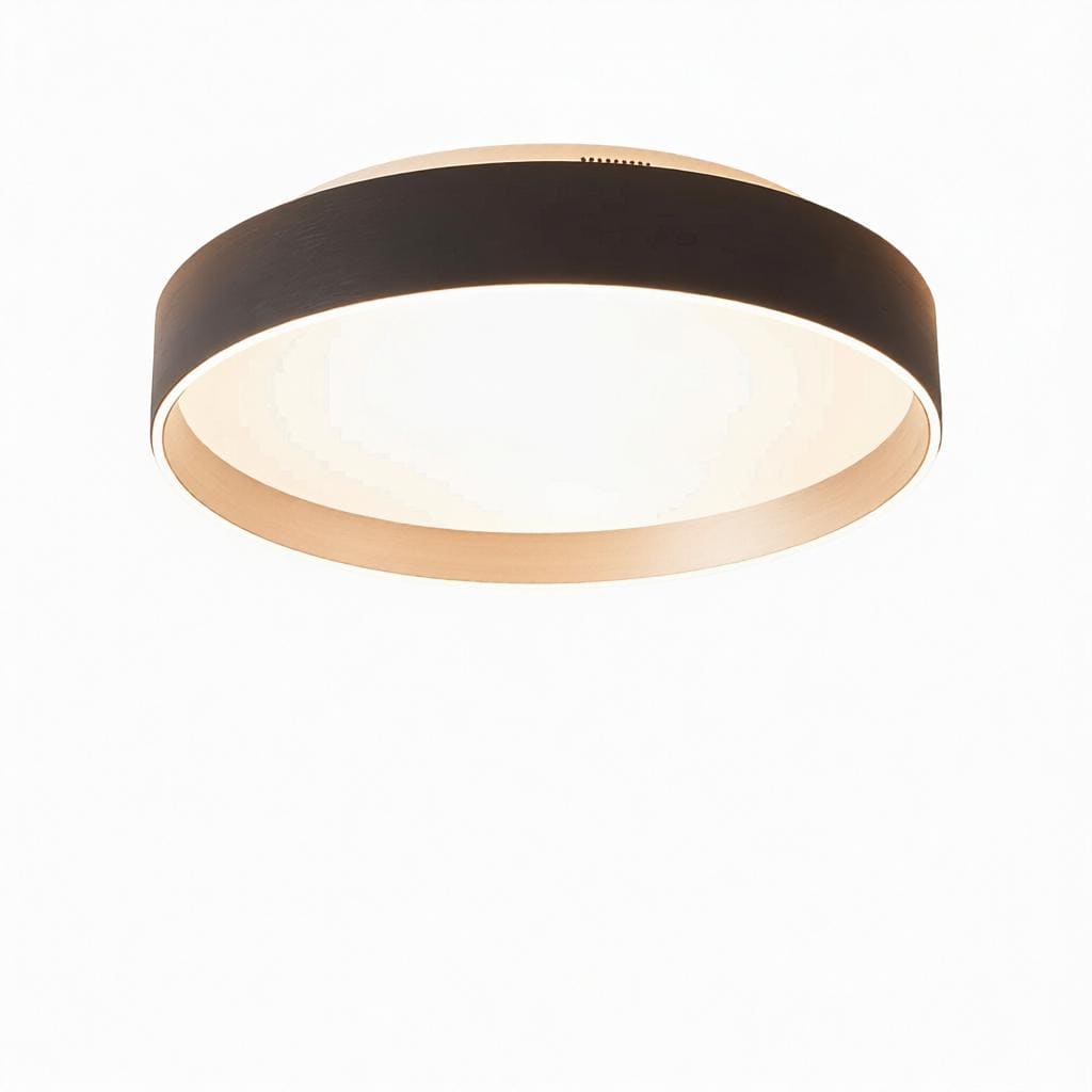 Moriwaki | Ceiling Mounted Light - Detail View #6 | HomeCartel