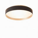 Moriwaki | Ceiling Mounted Light