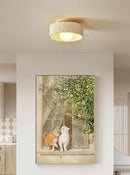 Warwick | Semi Flush Mounted Light