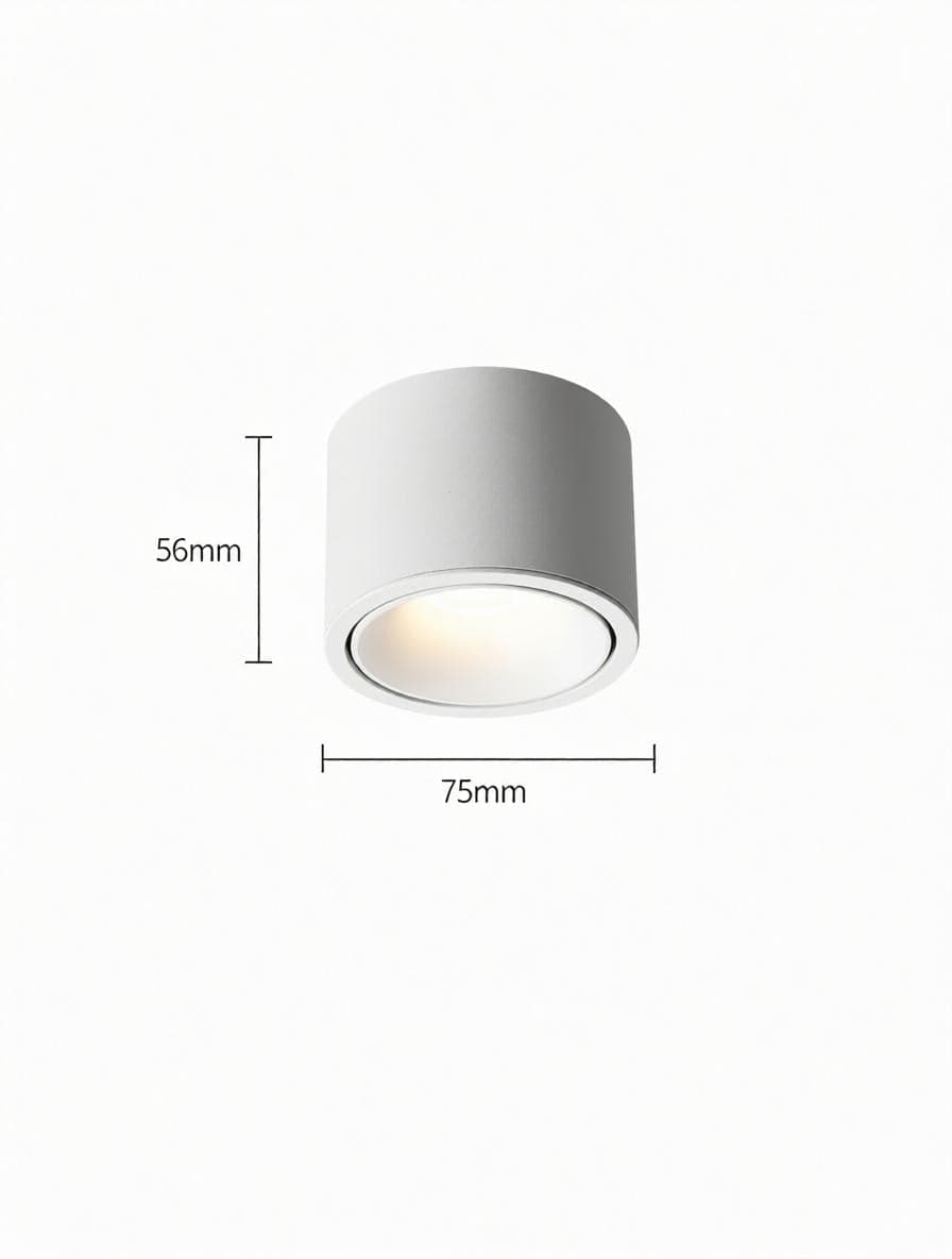 Jonvaleriae | Surface Mounted Light