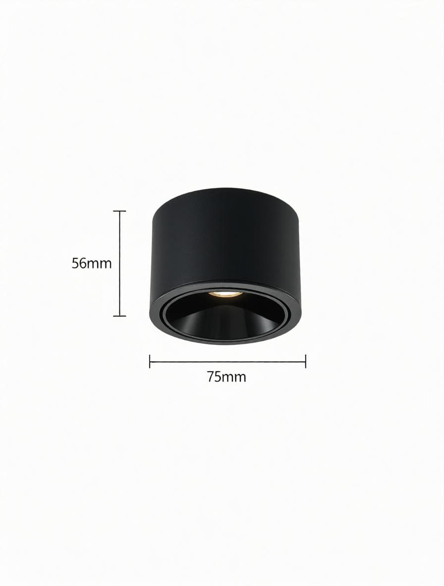 Jonvaleriae | Surface Mounted Light