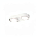 Aelaris | Surface Mounted Light