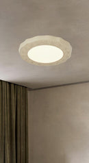 Froemke | Ceiling Mounted Light