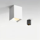 Valenrylora | Surface Mounted Light