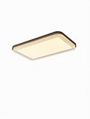 Seltharun | Ceiling Mounted Light