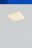 Dimittie D | Ceiling Mounted Light