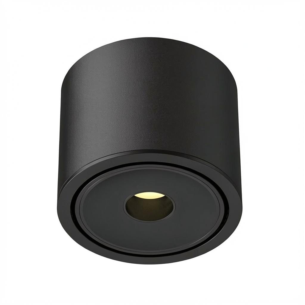 Ysolenyae Deux | Surface Mounted Light
