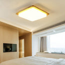 Malorien B | Ceiling Mounted Light