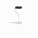 Teyrana I Table Lamp