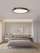 Mirivra | Ceiling Mounted Light