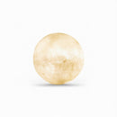 Mirenvee B | Floor Lamp