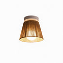 Levrin Deux | Semi Flush Mounted Light