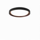 Blunden | Ceiling Mounted Light