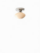 Orelthia A I Semi Flush Mounted Light