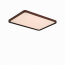 Ireniel | Ceiling Mounted Light