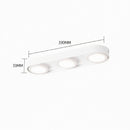 Aelaris | Surface Mounted Light