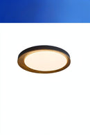 Meister | Ceiling Mounted Light