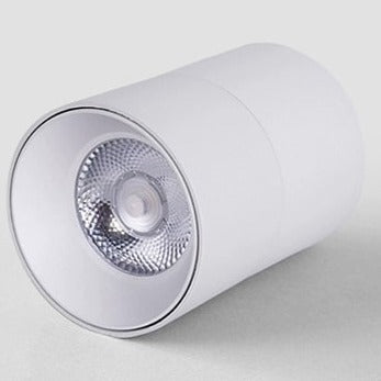 Zolten | Surface Mounted Spotlight - Home Cartel ®