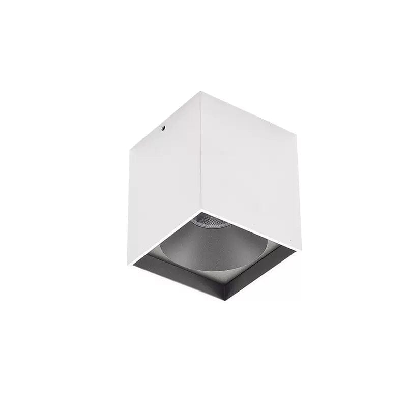 Cowrie | Surface Mounted Light - Home Cartel ®
