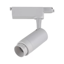 Tanner | Zoom Spotlight