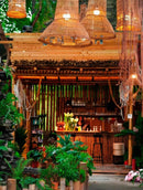 Tavynra Deux | Outdoor Pendant Light