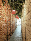 Daralys Deux | Outdoor Pendant Light