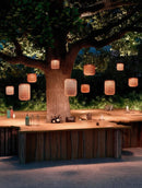 Daralys Deux | Outdoor Pendant Light