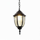 Curenil Deux | Outdoor Pendant Light