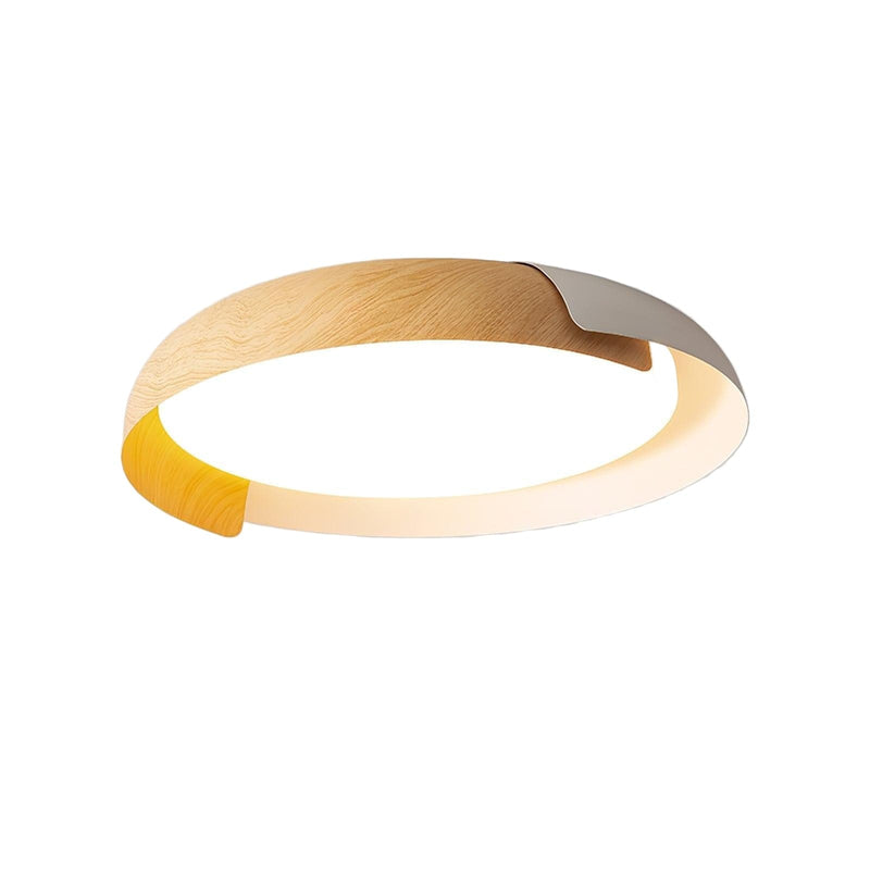 Dalmar | Ceiling Mounted Light