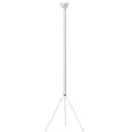 Apate | Modern LED Floor Lamp