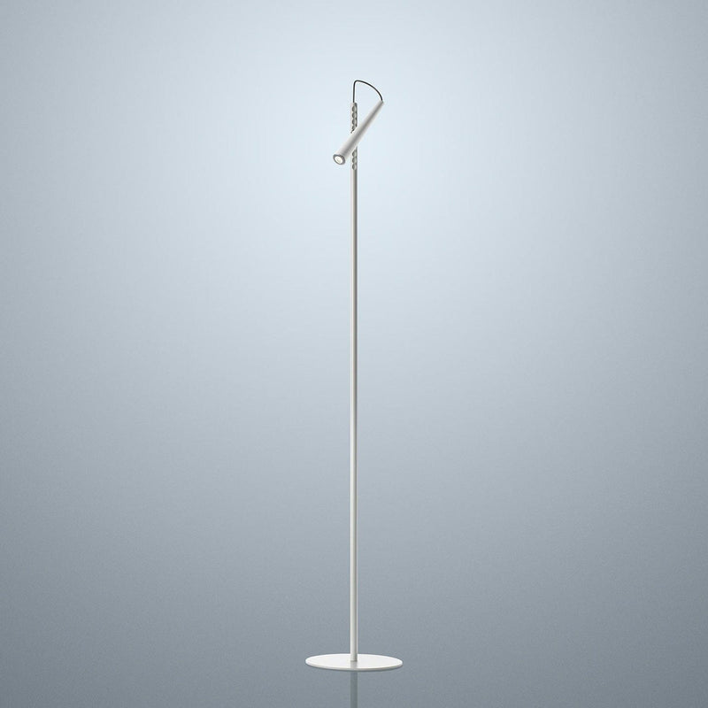 Aqia | Modern LED Floor Lamp